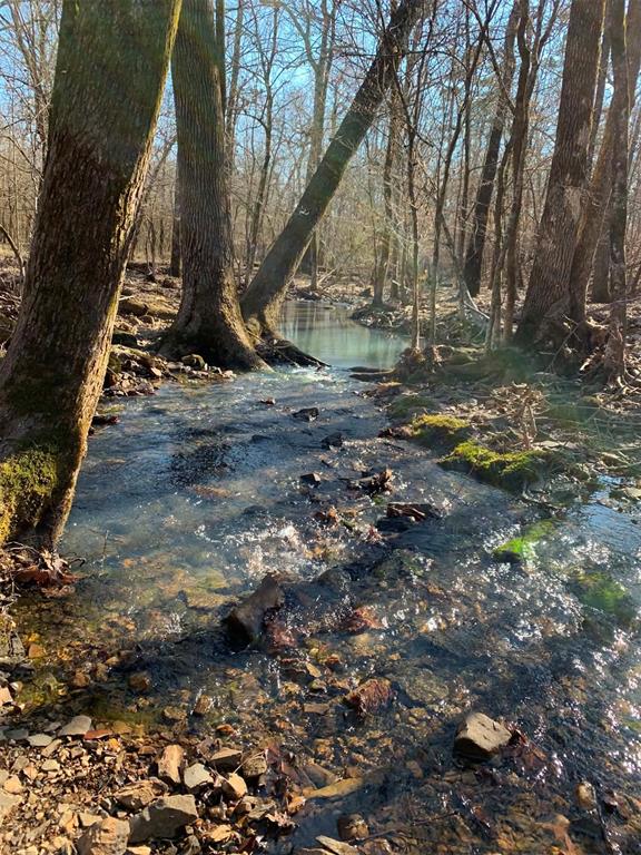 1251 Joe Hough Road Property Photo 10
