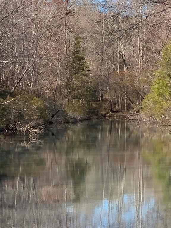1251 Joe Hough Road Property Photo 18