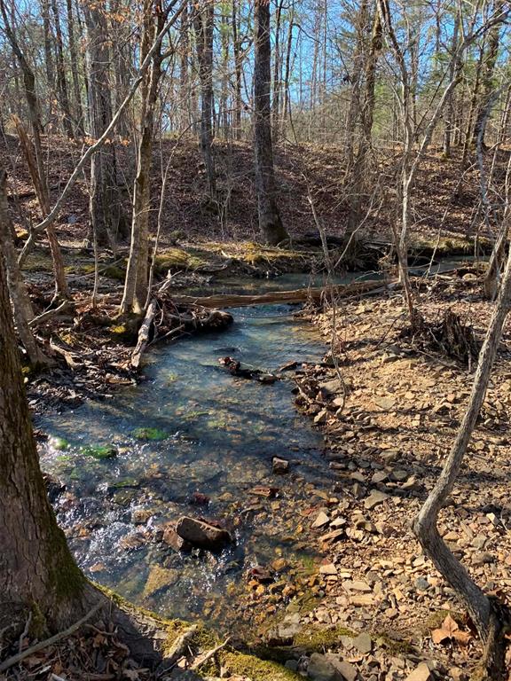1251 Joe Hough Road Property Photo 30