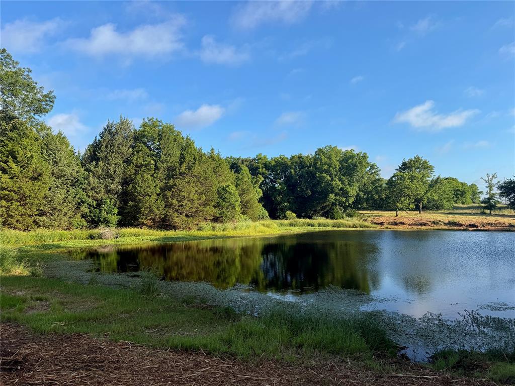 4 9 Highway Property Photo 17