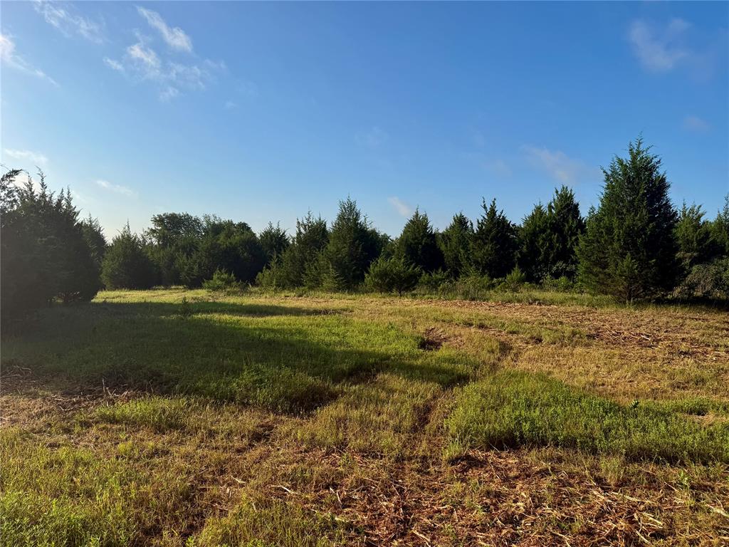 4 9 Highway Property Photo 18