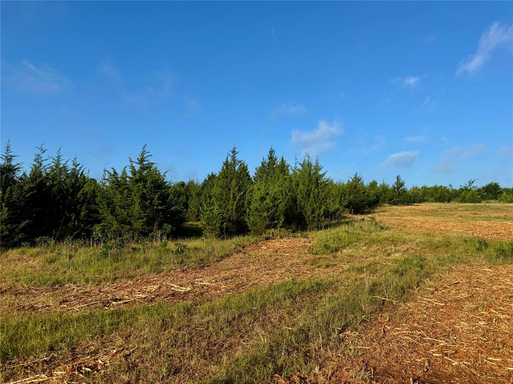4 9 Highway Property Photo 19