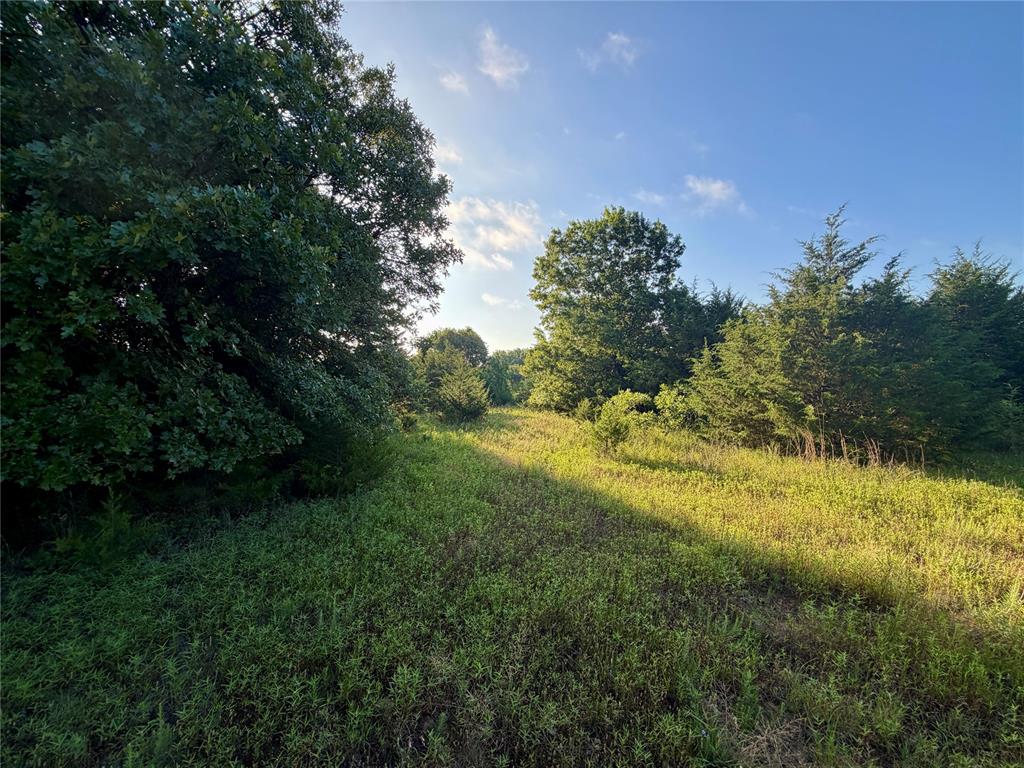 4 9 Highway Property Photo 23