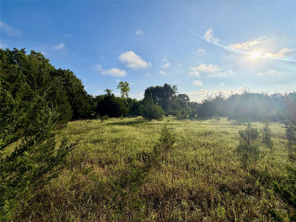 4 9 Highway Property Photo 24