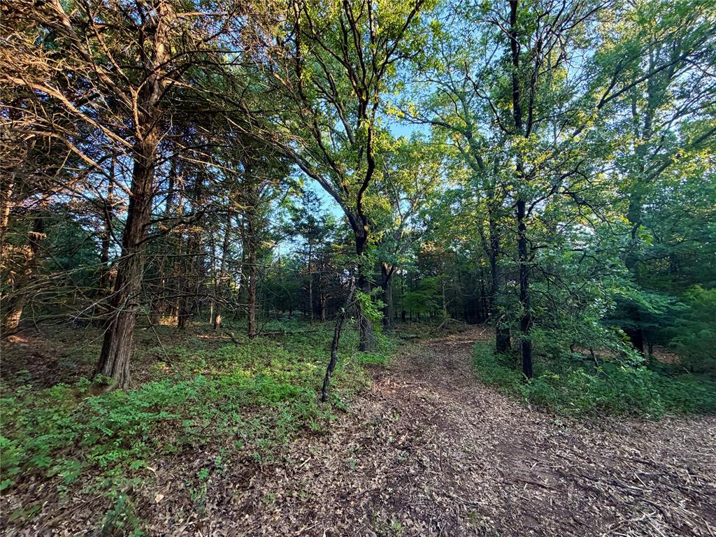 5 N 3490 Road Property Photo 17