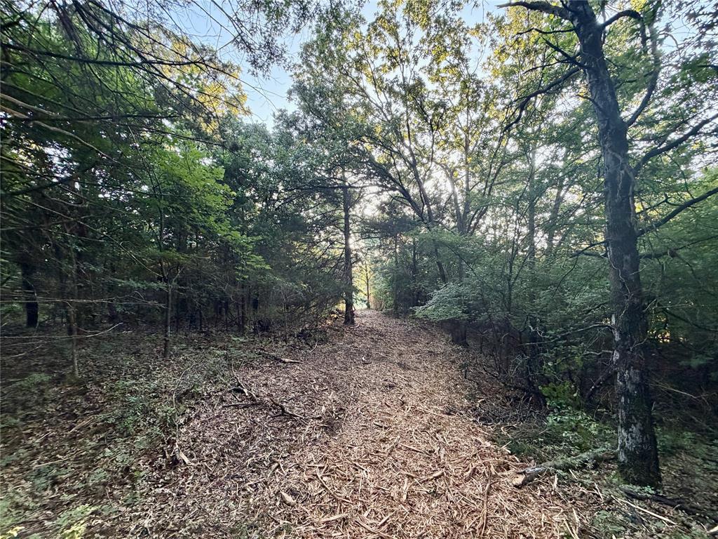 5 N 3490 Road Property Photo 18