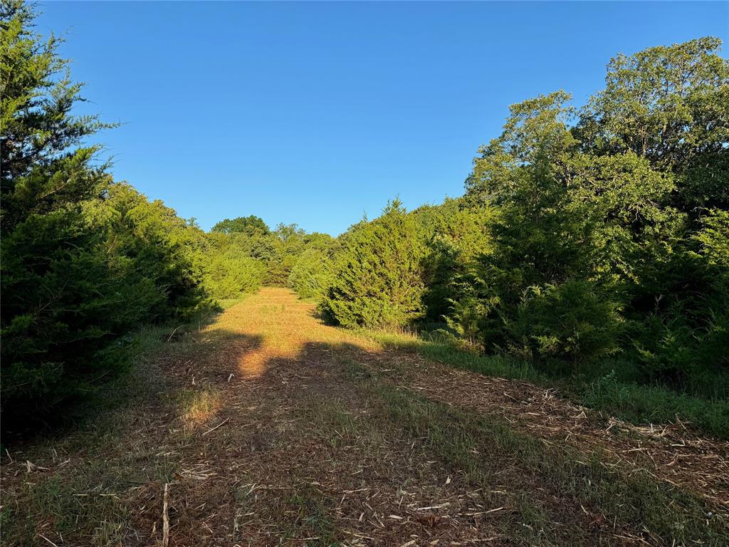 5 N 3490 Road Property Photo 20
