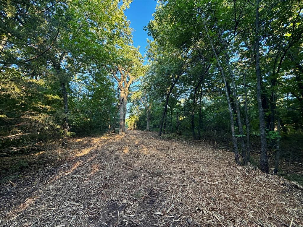 5 N 3490 Road Property Photo 21