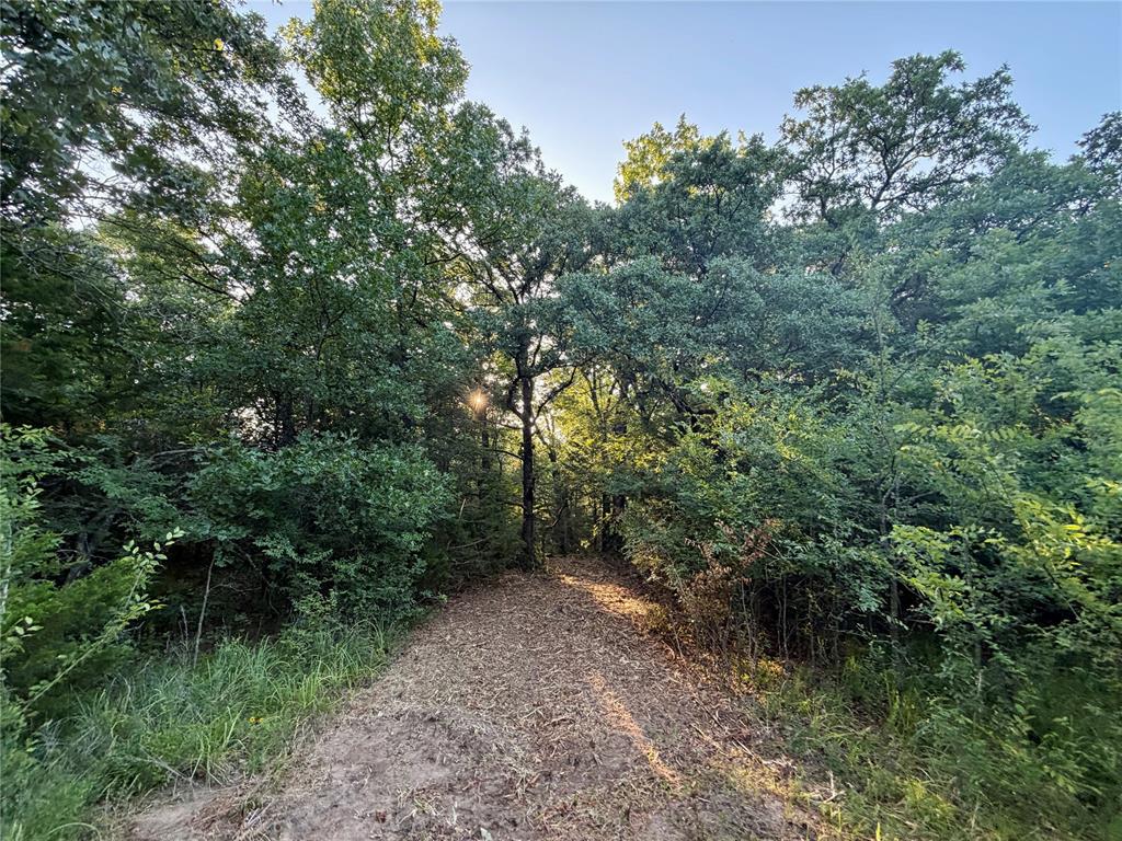 5 N 3490 Road Property Photo 22