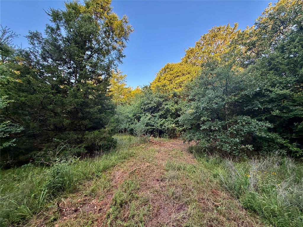 5 N 3490 Road Property Photo 23