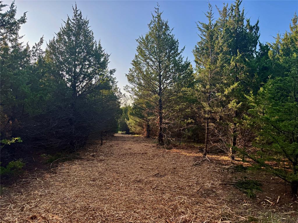 6 N 3490 Road Property Photo 16