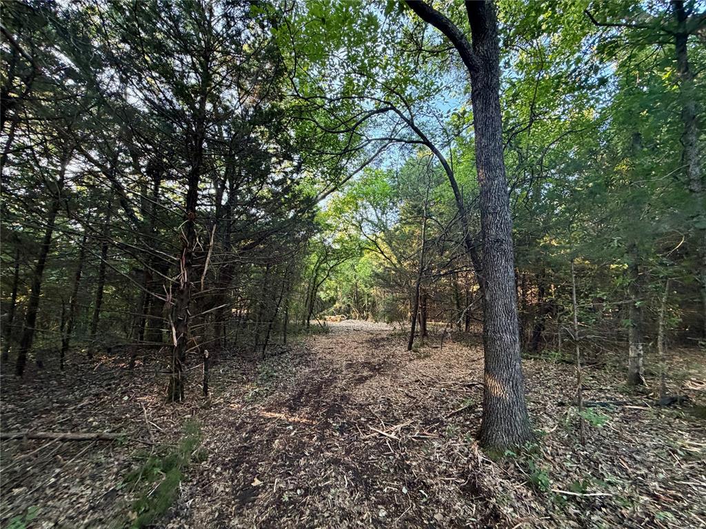 6 N 3490 Road Property Photo 18