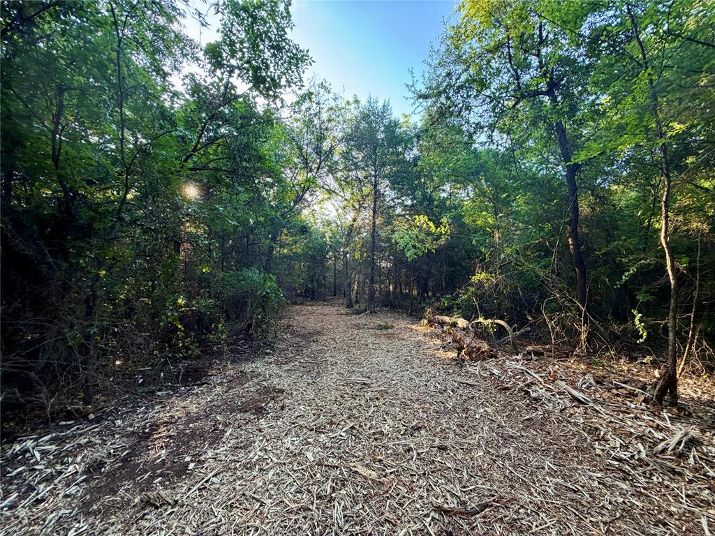 6 N 3490 Road Property Photo 19