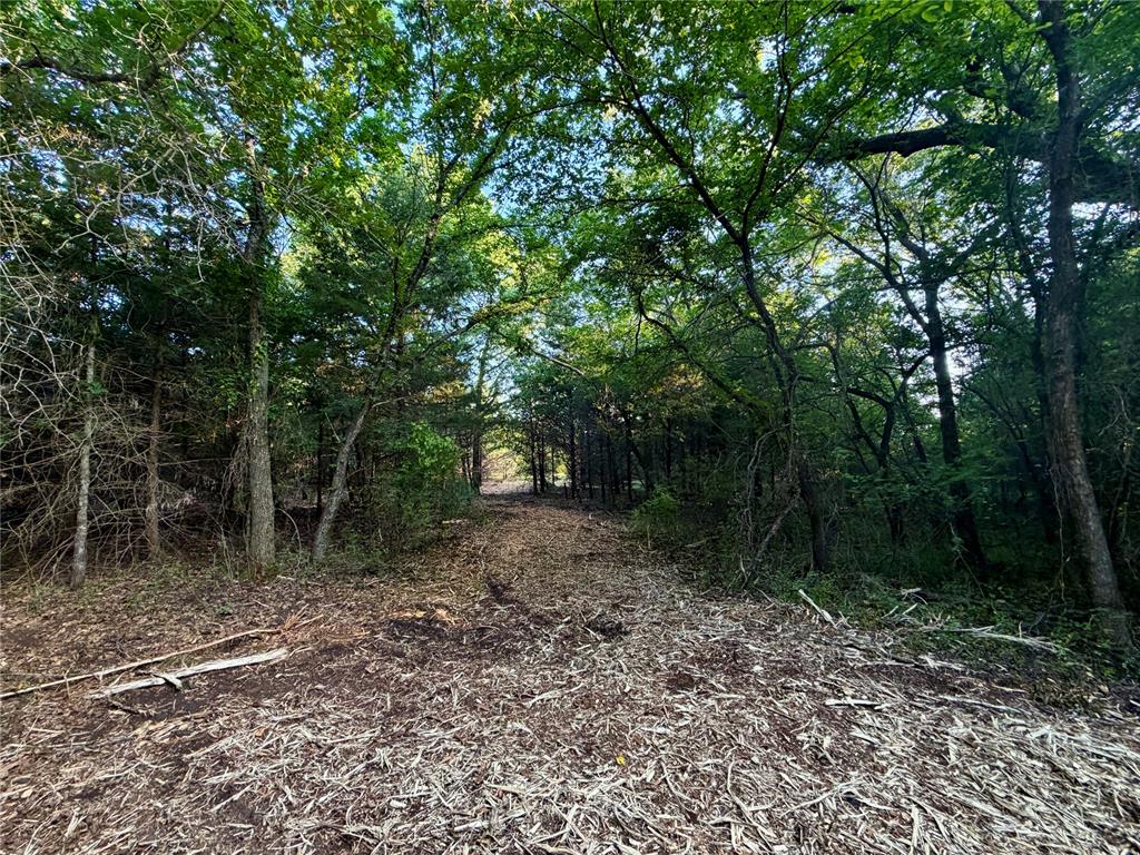 6 N 3490 Road Property Photo 21