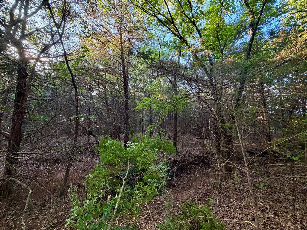 6 N 3490 Road Property Photo 23