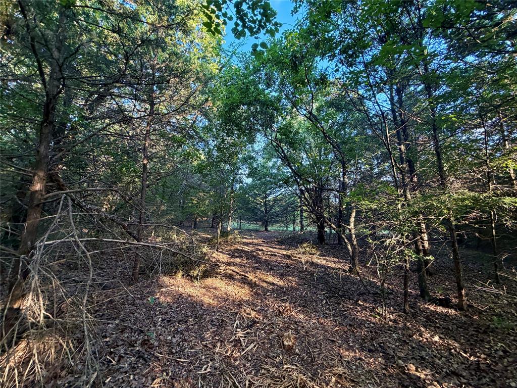 6 N 3490 Road Property Photo 24
