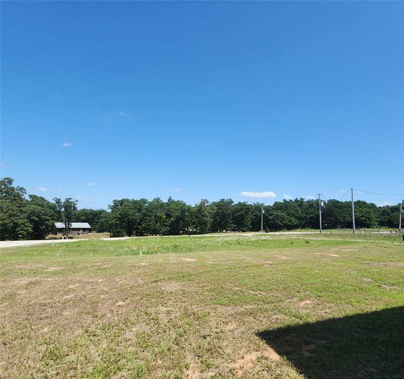 10696 Chandler Way Property Photo 33