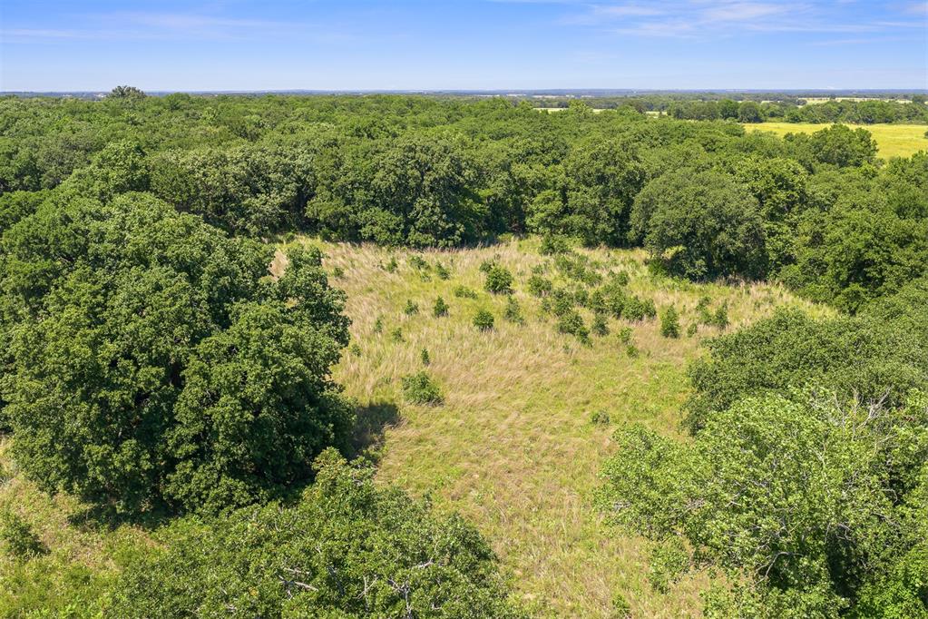 2976 Anshultz Road Property Photo 31