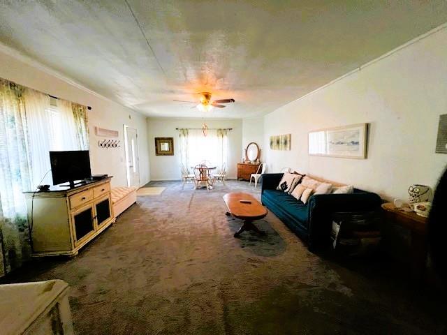 216 S Bailey Street Property Photo 6
