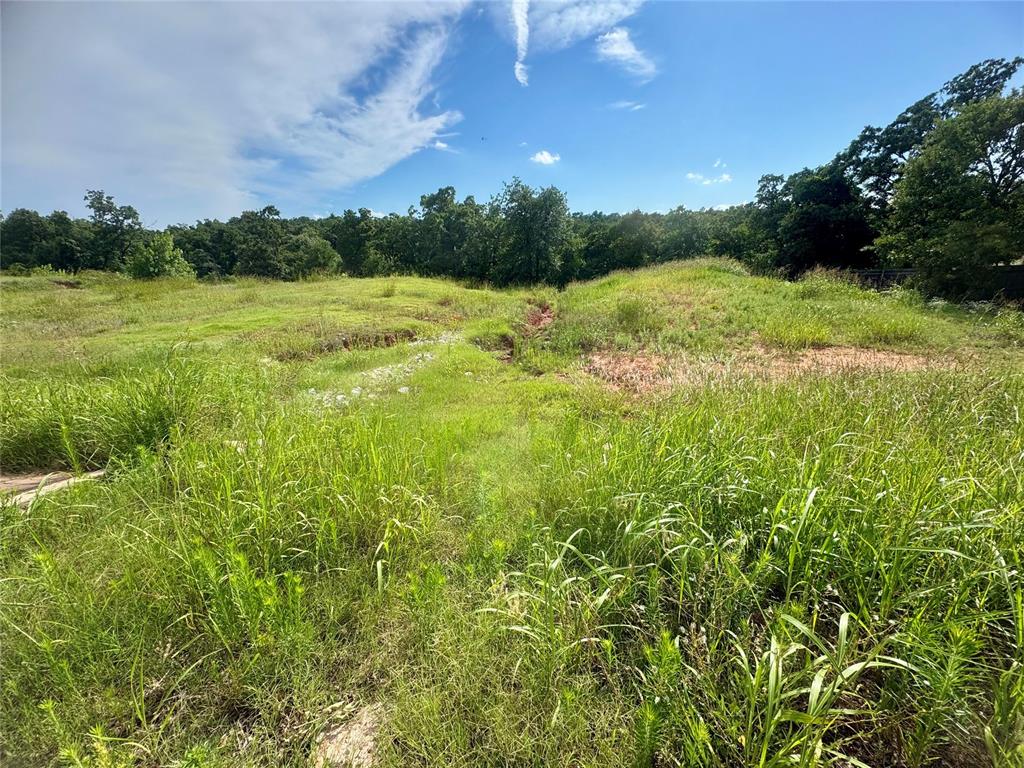 8811 Overlook Drive Property Photo 7