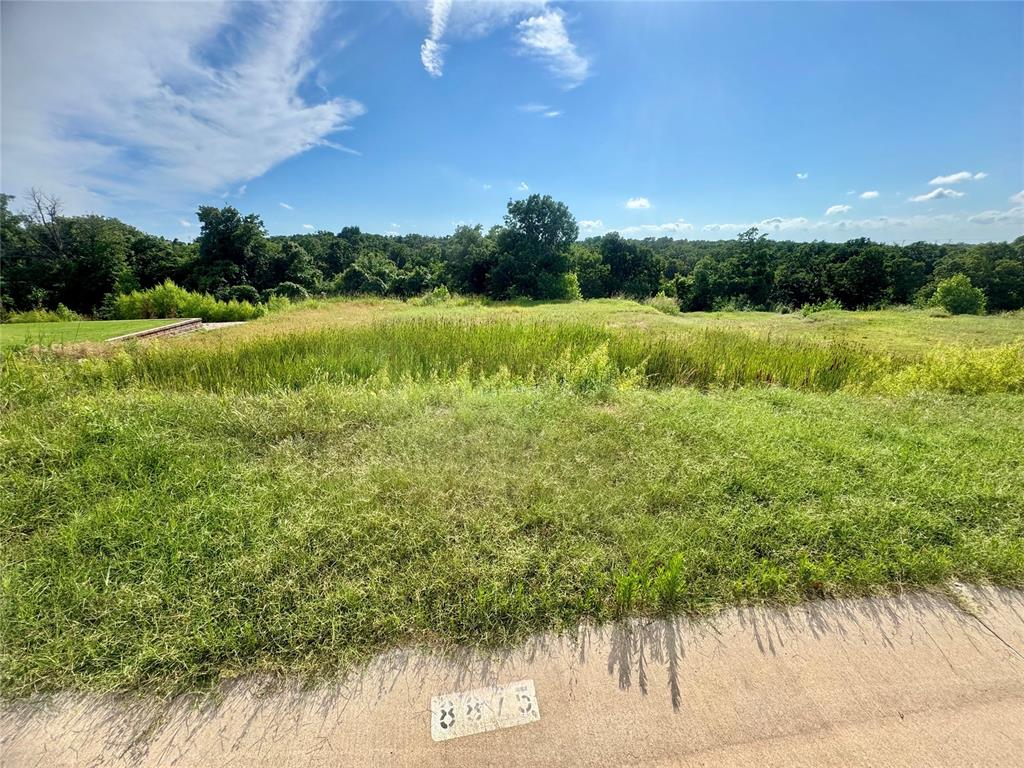 8875 Overlook Drive Property Photo 7
