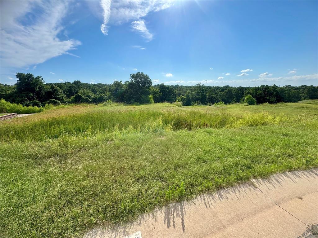 8875 Overlook Drive Property Photo 9