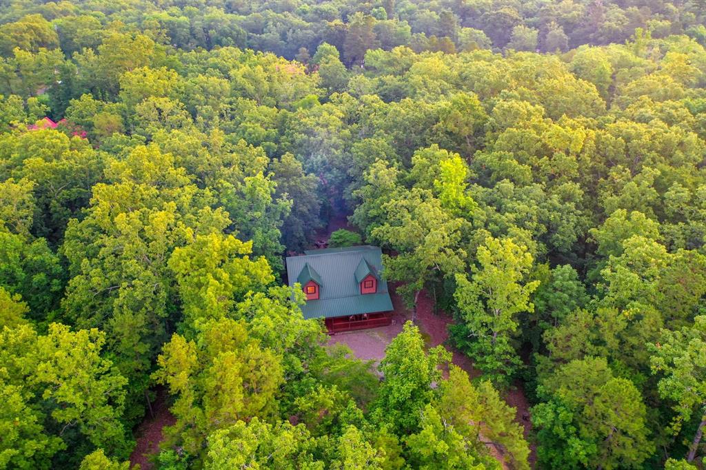 295 Dry Fly Road Property Photo 25