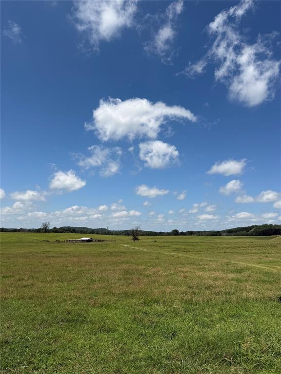 1235934 Property Photo 5