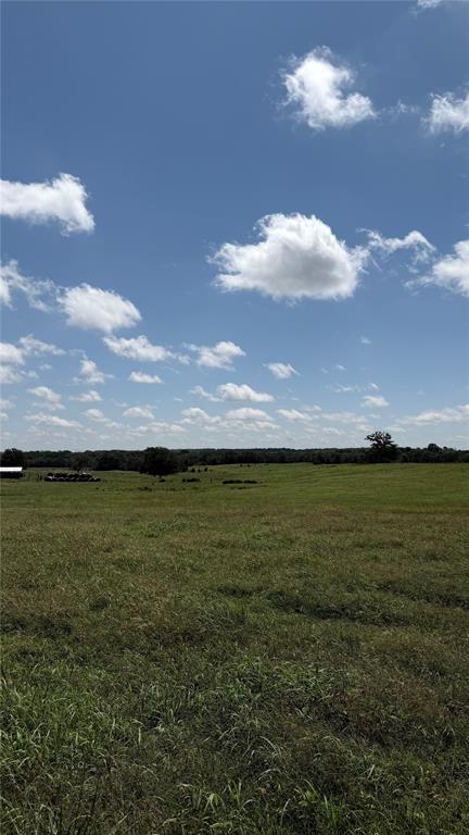 1235934 Property Photo 8