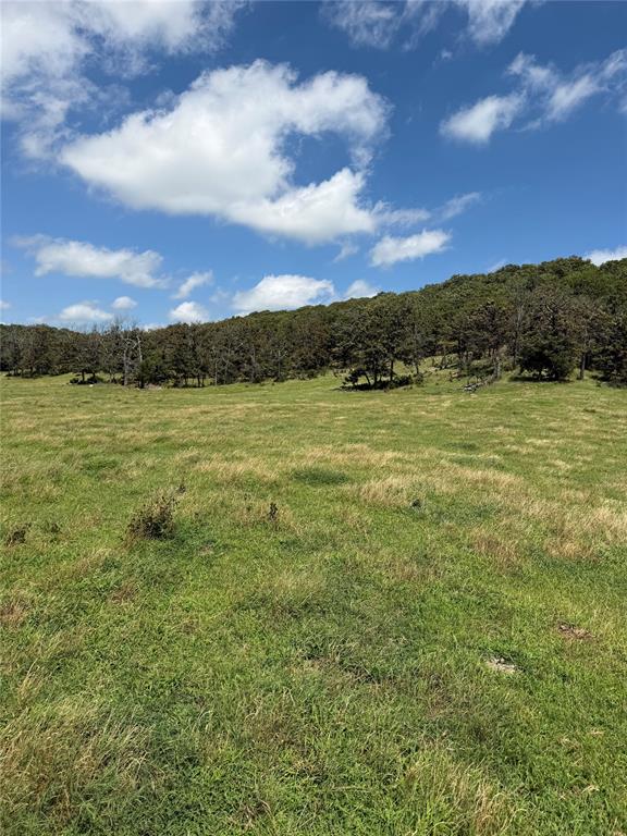 1235934 Property Photo 10