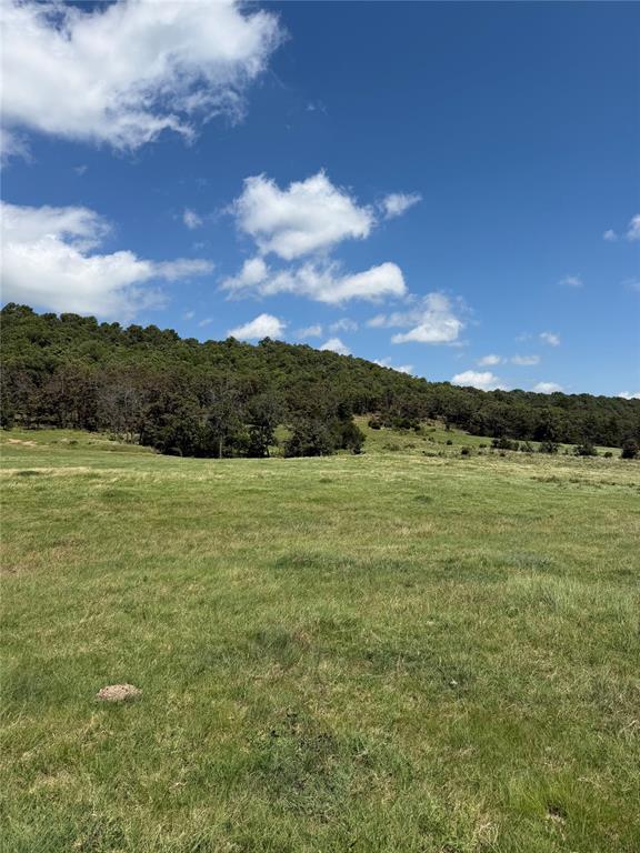 1235934 Property Photo 12