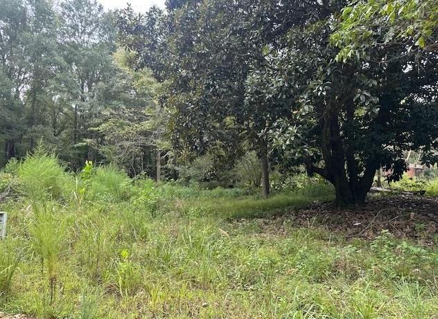 274 Galena Ridge Road Property Photo 2