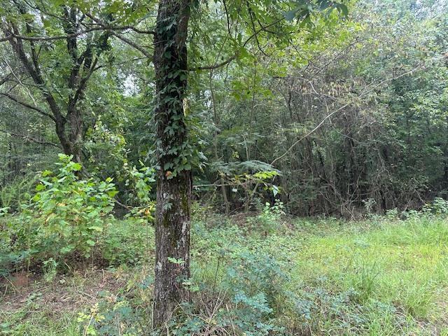 274 Galena Ridge Road Property Photo 3