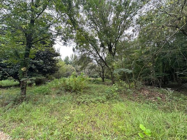 274 Galena Ridge Road Property Photo 4