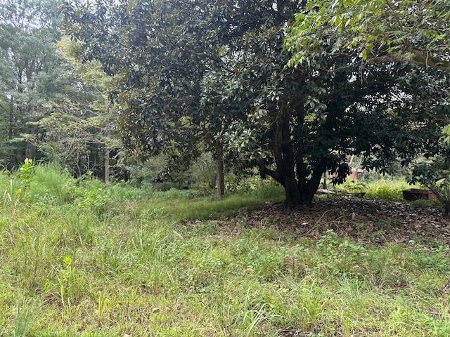 274 Galena Ridge Road Property Photo 5