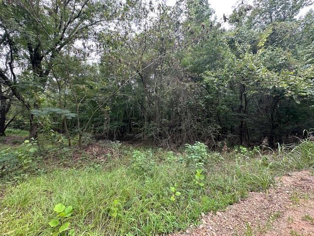 274 Galena Ridge Road Property Photo 6