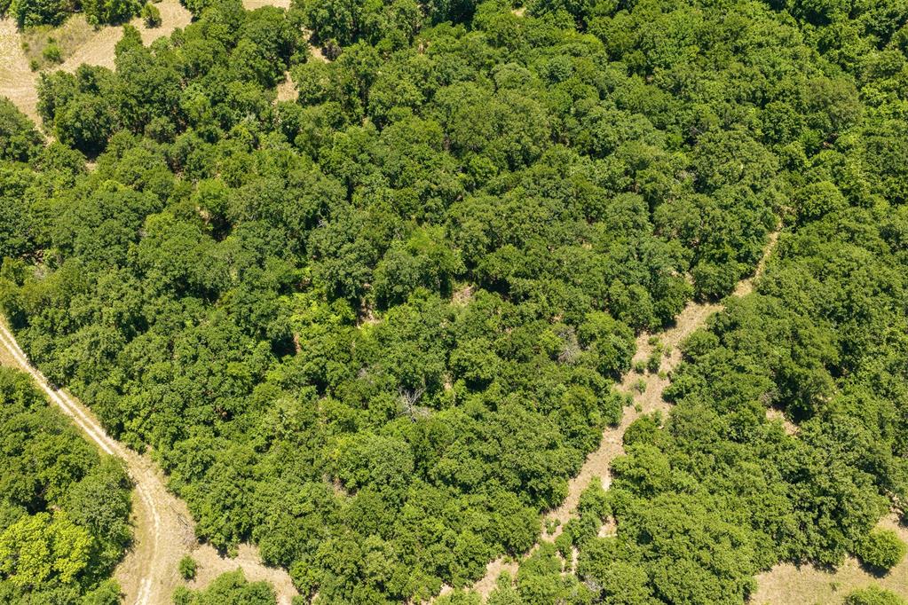 29274 Highway 74 Property Photo 47