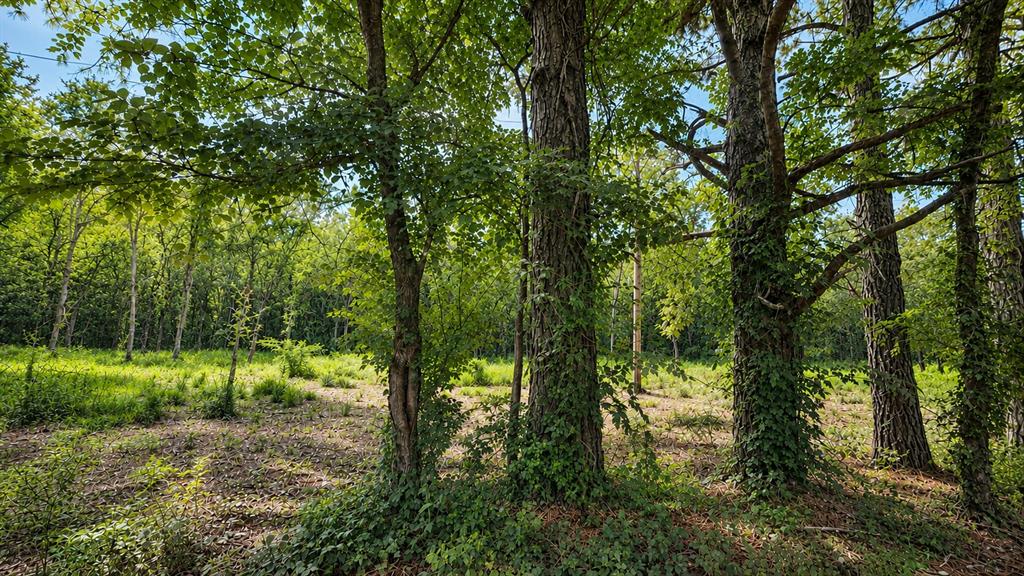 1425 Firefly Lane Property Photo 3