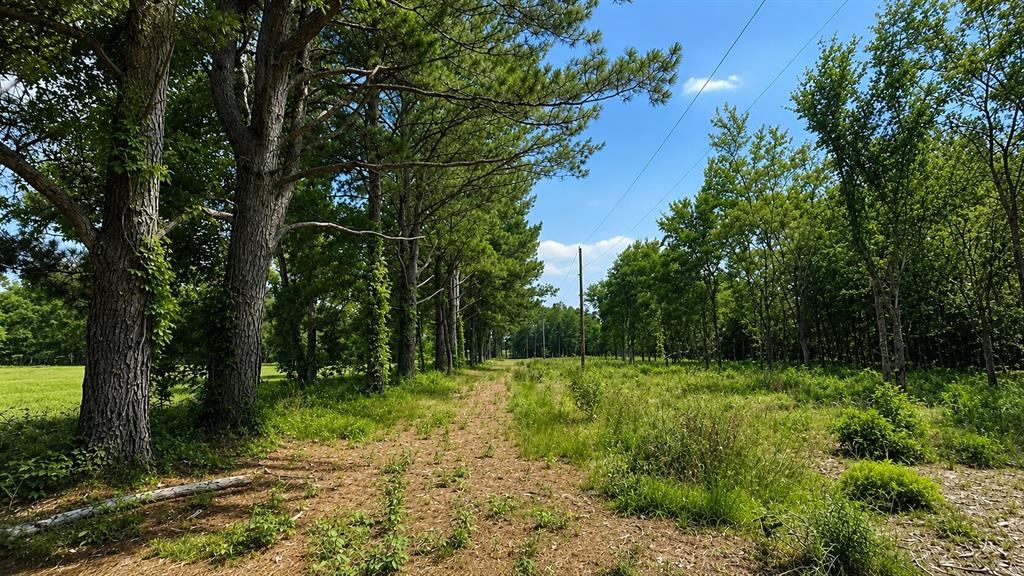 1425 Firefly Lane Property Photo 4