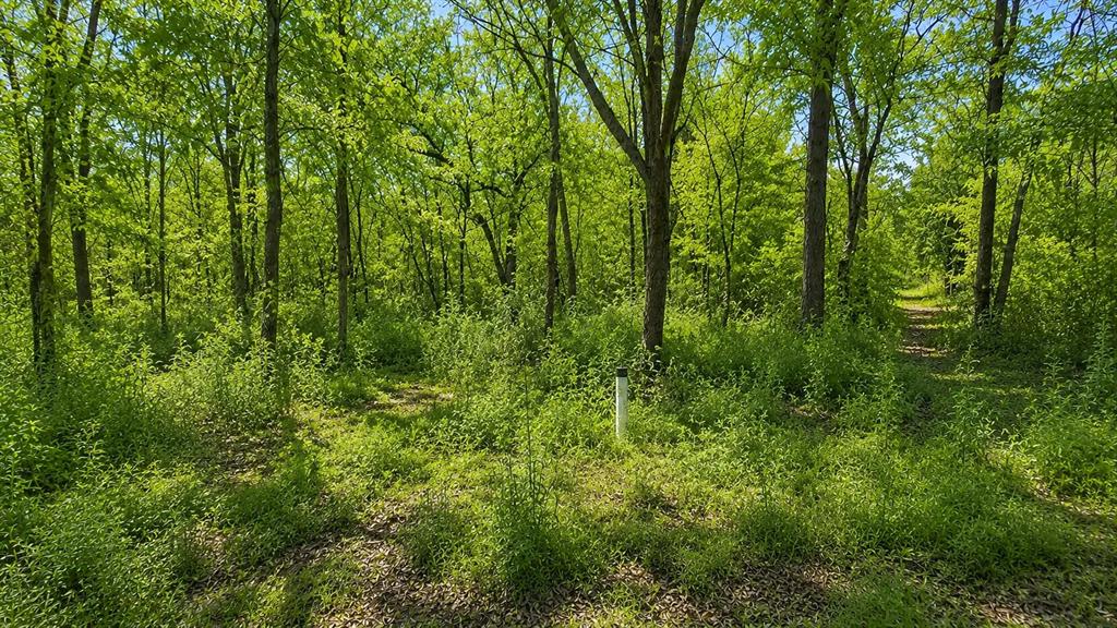 1425 Firefly Lane Property Photo 5