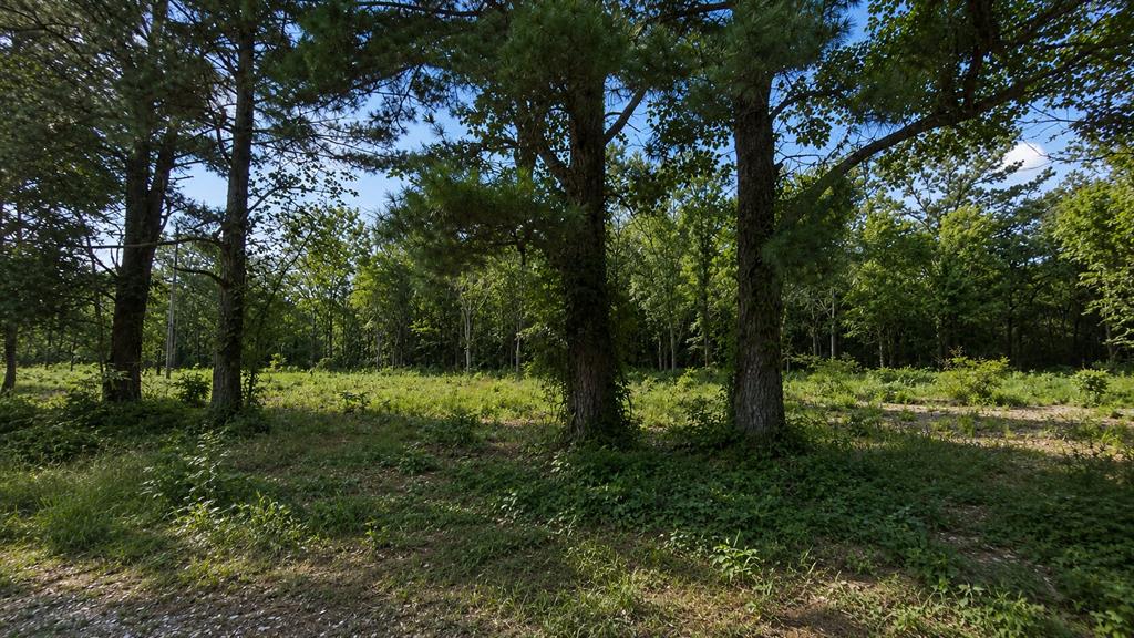 1425 Firefly Lane Property Photo 6