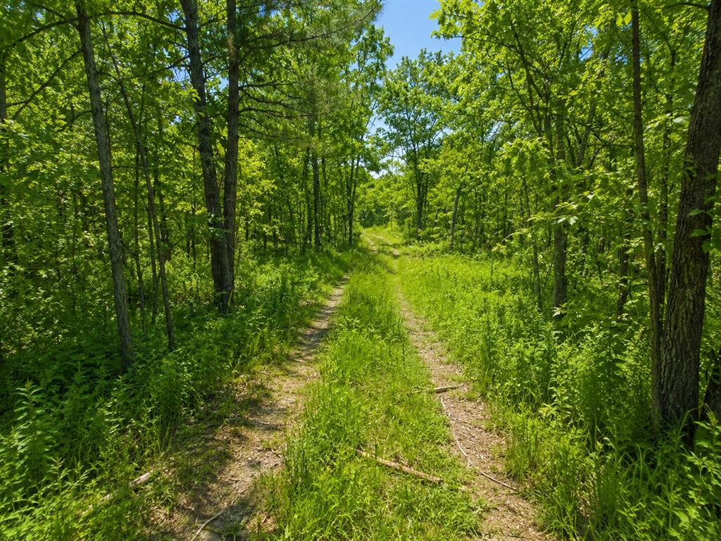 1425 Firefly Lane Property Photo 9