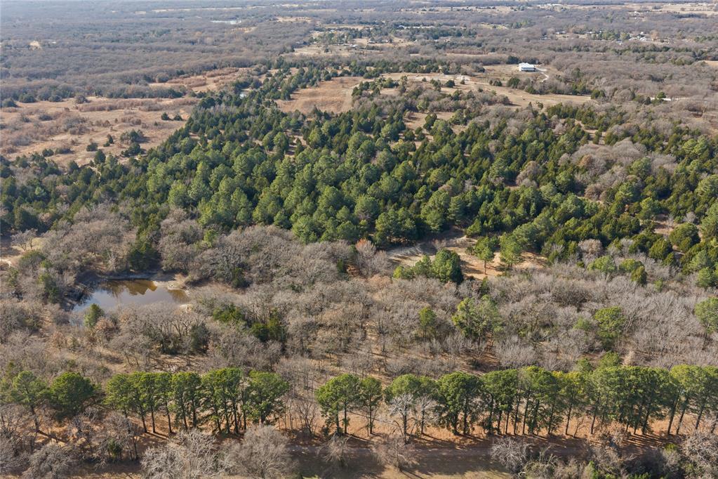 1425 Firefly Lane Property Photo 13
