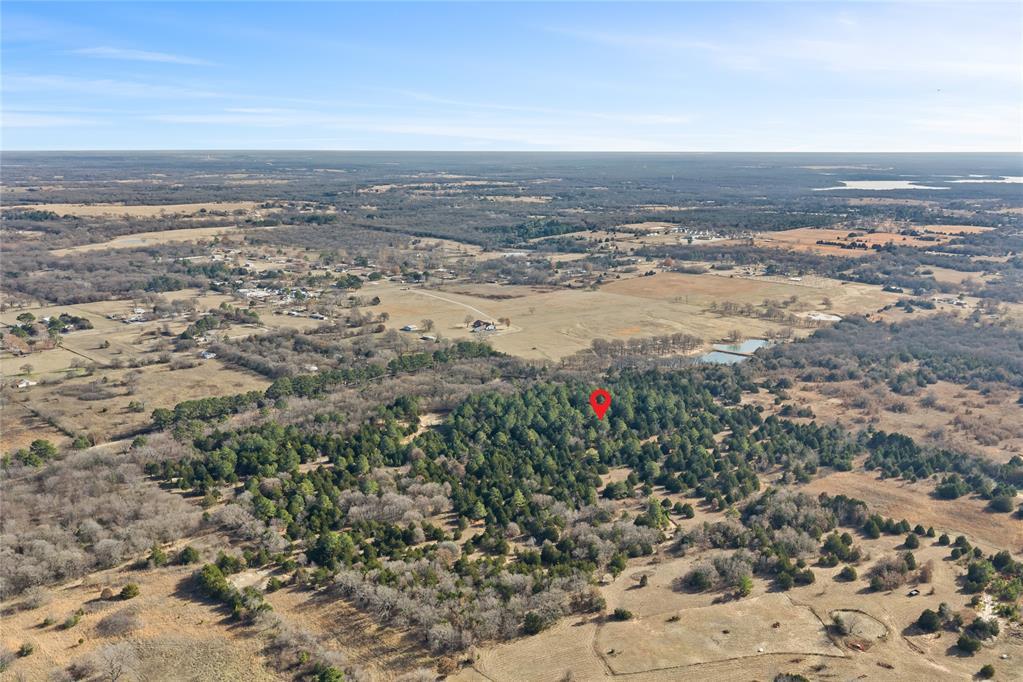 1425 Firefly Lane Property Photo 17