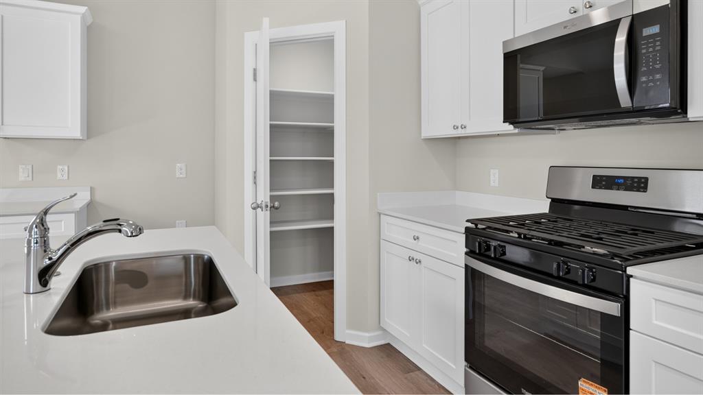 10517 Red Thistle Drive Property Photo 3