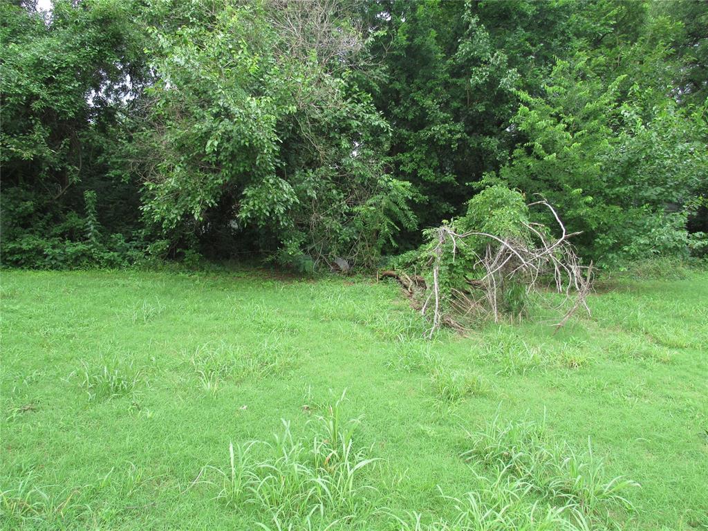 206 Washington Property Photo 5