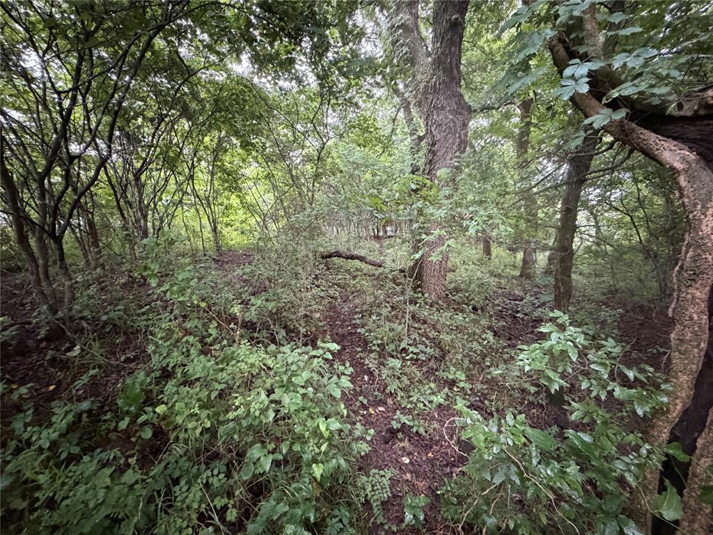 00 Ew 1170 Road Property Photo 19