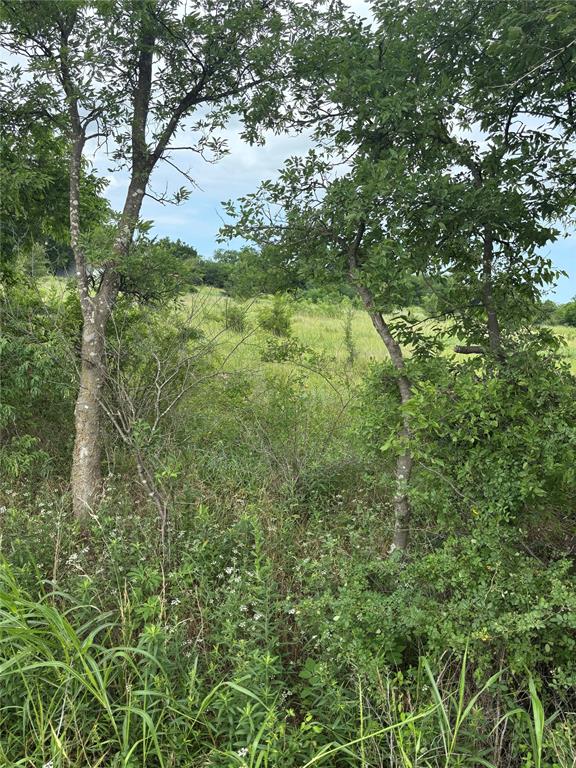 E 360 Road Property Photo 18