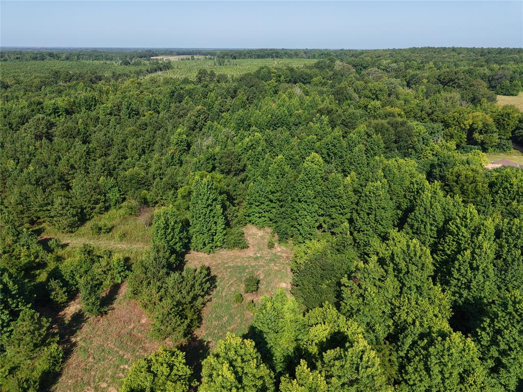 37 Tbd Butler Road Road Property Photo 8