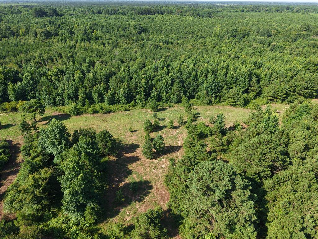 37 Tbd Butler Road Road Property Photo 10